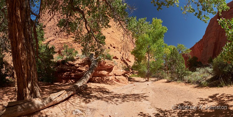 230922_G9_1070586-9 Panorama.jpg - Singing Canyon on Burr Trail